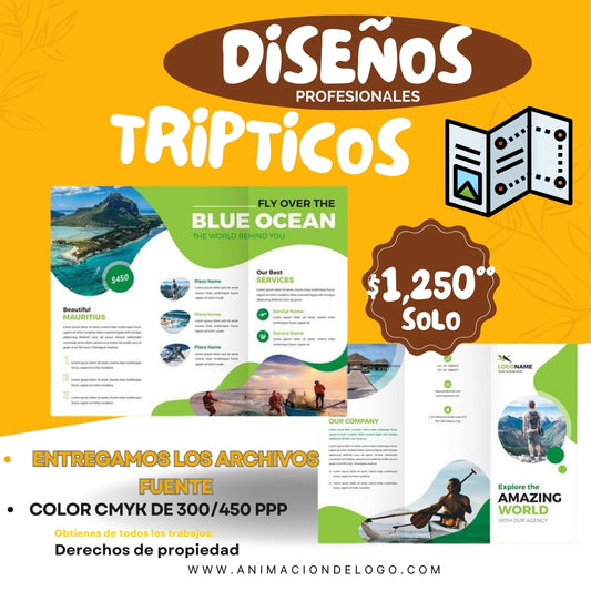 Diseño profesional de Tripticos frente y vuelta