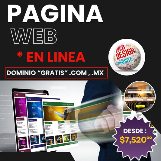 Pagina web o Landing page en línea